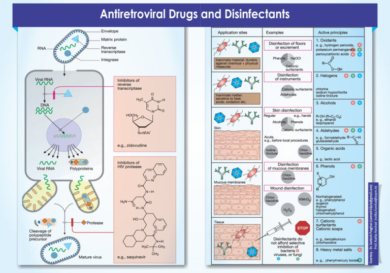Antiretroviral drugs and Disinfectants
