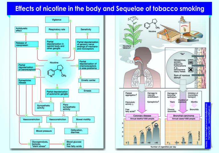 Effects of nicotine in the body and Sequelae of tobacco smoking