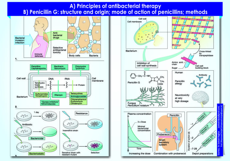 Principles of antibacterial therapy and Penicillin G structure and origin mode of action of penicillins; methods